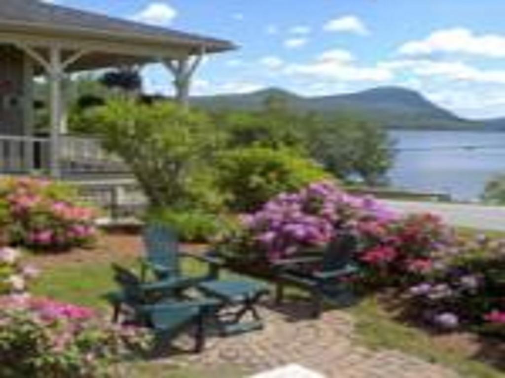 Willoughvale Inn Westmore Newport ภายนอก รูปภาพ