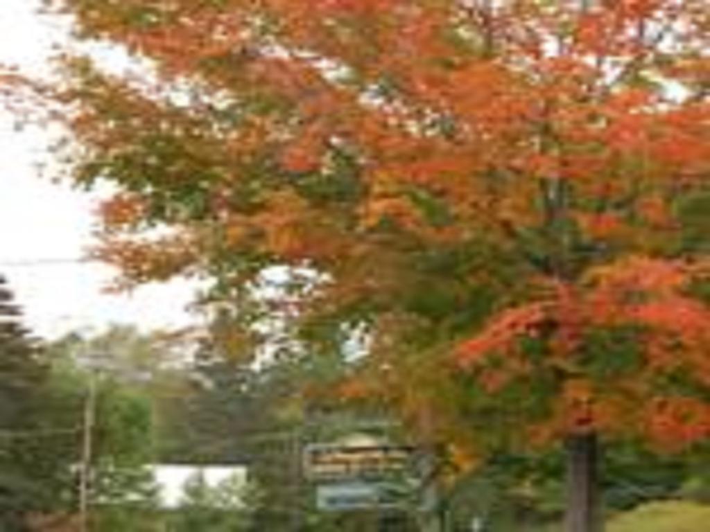 Willoughvale Inn Westmore Newport ภายนอก รูปภาพ